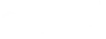 Navigation bar logo